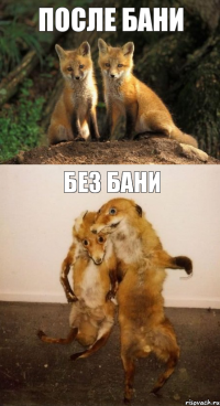 после бани без бани