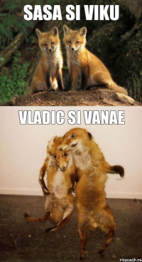 sasa si viku vladic si vanae