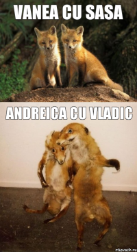 Vanea cu Sasa Andreica cu Vladic