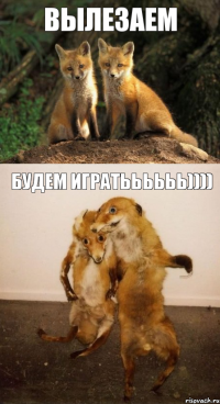 Вылезаем будем игратьььььь))))