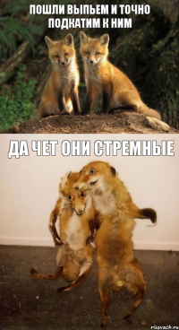 Пошли выпьем и точно подкатим к ним ДА чет они стремные