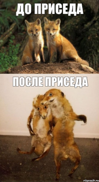 До приседа После приседа