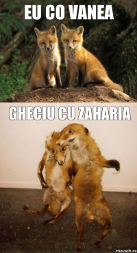 Eu co Vanea Gheciu cu zaharia
