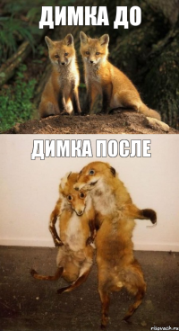 Димка до Димка после