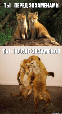 Ты - перед экзаменами Ты - после экзаменов