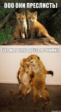 Ооо они преслисть) Ура мы тепер друзья с ними!)