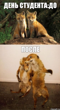 День студента:до после