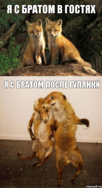 Я с братом в гостях Я с братом после гулянки
