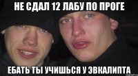 Не сдал 12 лабу по проге Ебать ты учишься у эвкалипта