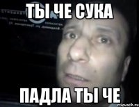 ты че сука падла ты че