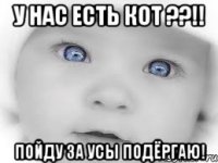 У нас есть кот ??!! Пойду за усы подёргаю!