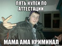 пять нулей по аттестации мама ама криминал