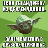 Если ты Андрееву из друзей удалил, зачем Сапегину в друзьях держишь ?