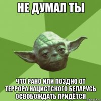 не думал ты что рано или поздно от террора нацистского Беларусь освобождать придётся