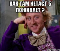 как там netact 5 поживает ? 