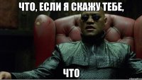 что, если я скажу тебе, что