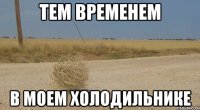 Тем временем в моем холодильнике