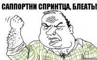 САППОРТНИ СПРИНТЦА, БЛЕАТЬ!