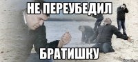 не переубедил братишку