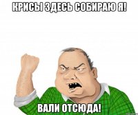 Крисы здесь собираю Я! Вали отсюда!