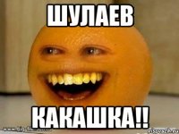 шулаев какашка!!