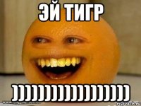 Эй тигр ))))))))))))))))))