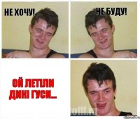 Не хочу! Не буду! Ой летіли дикі гуси...
