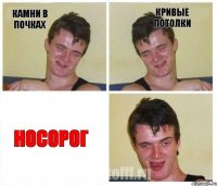 камни в почках кривые потолки носорог