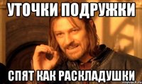 Уточки подружки Спят как раскладушки