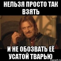 нельзя просто так взять и не обозвать её усатой тварью