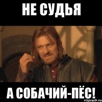 не судья а собачий-пёс!