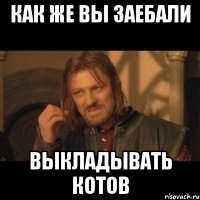 как же вы заебали выкладывать котов