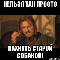 нельзя так просто пахнуть старой собакой!