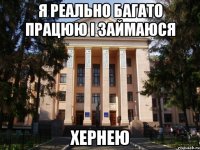 я реально багато працюю і займаюся хернею