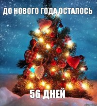 до нового года осталось 56 дНей