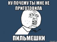 ну почему ты мне не приготовила пильмешки