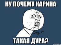 Ну почему карина такая дура?