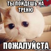 ты пойдешь на треню пожалуйста