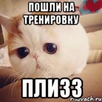 пошли на тренировку плизз