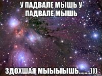 у падвале мышь у падвале мышь здохшая мыыыышь........)))