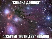 "собака донная" ©сергей "ruthless" иванов