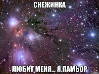 Снежинка любит меня... я памьор