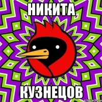 никита кузнецов