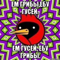 ем грибы,ебу гусей. ем гусей, ебу грибы.