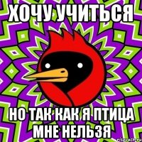 хочу учиться но так как я птица мне нельзя