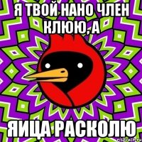 я твой нано член клюю, а яица расколю