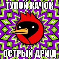 тупой качок острый дрищ