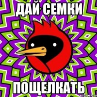 дай семки пощелкать