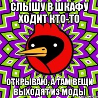 слышу в шкафу ходит кто-то открываю, а там вещи выходят из моды