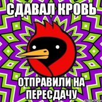 сдавал кровь отправили на пересдачу